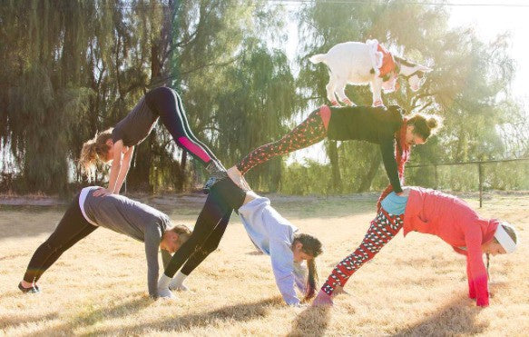 The 3 Best Immunity Boosting Yoga Poses